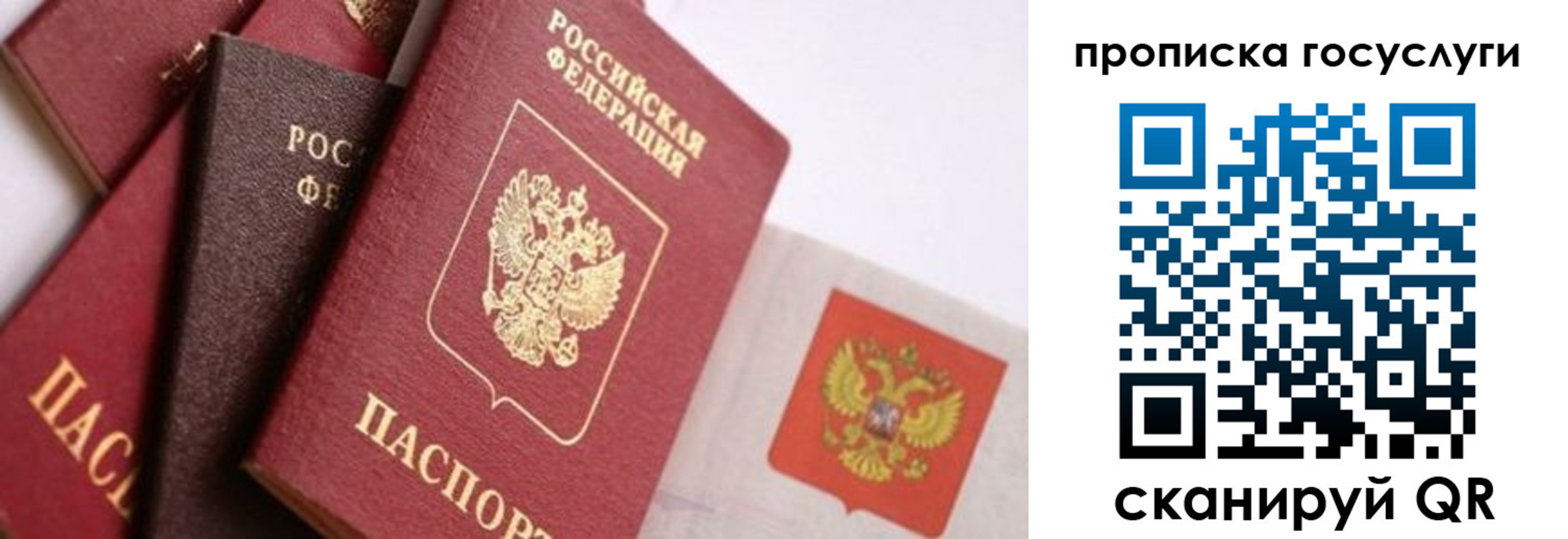 прописка законно в Бологом